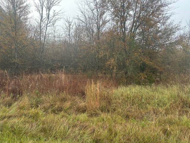 527 Tahiti Lane - Photo 1