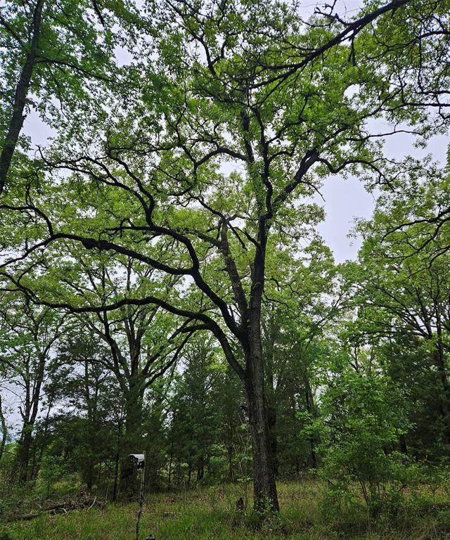 01 Private 5401 Road - Photo 1