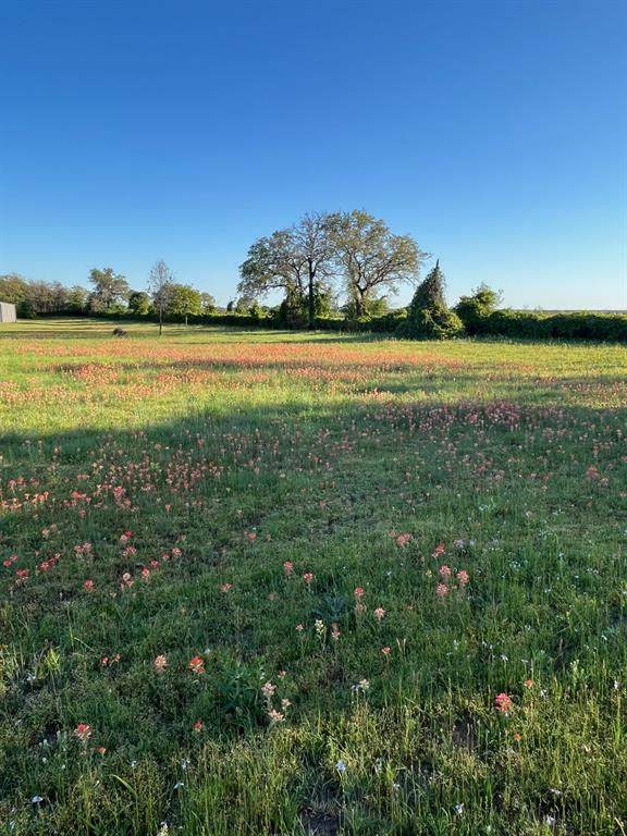 3951 Brushy Road - Photo 1