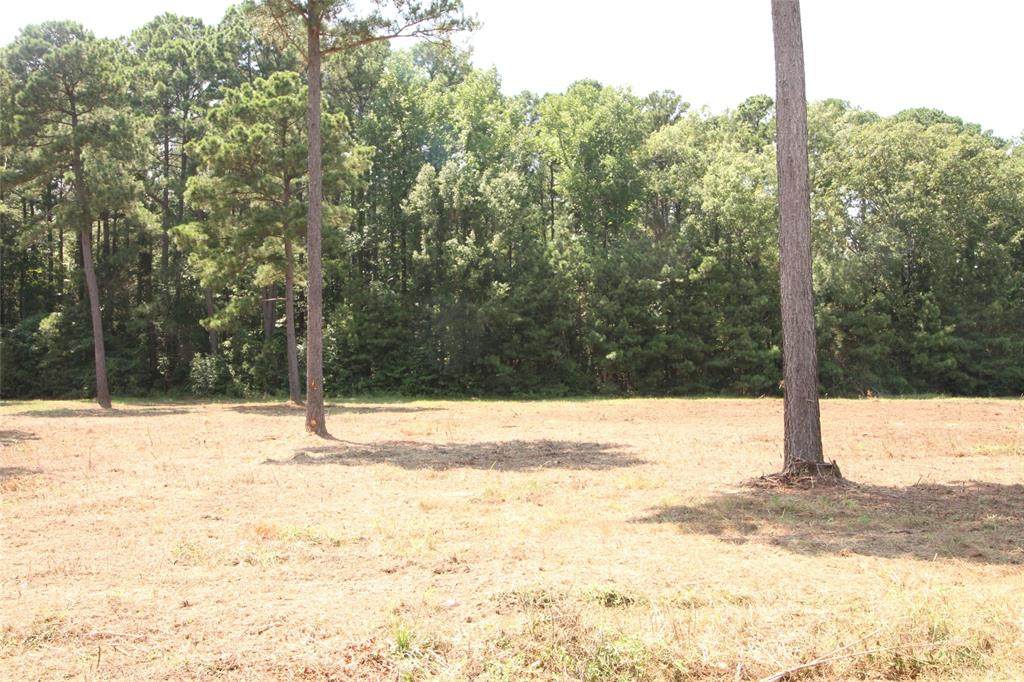 Lot 4 Peaceful Pines - Photo 1
