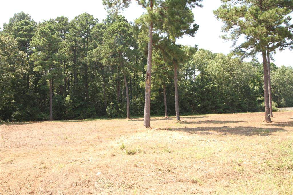 Lot 5 Peaceful Pines - Photo 1