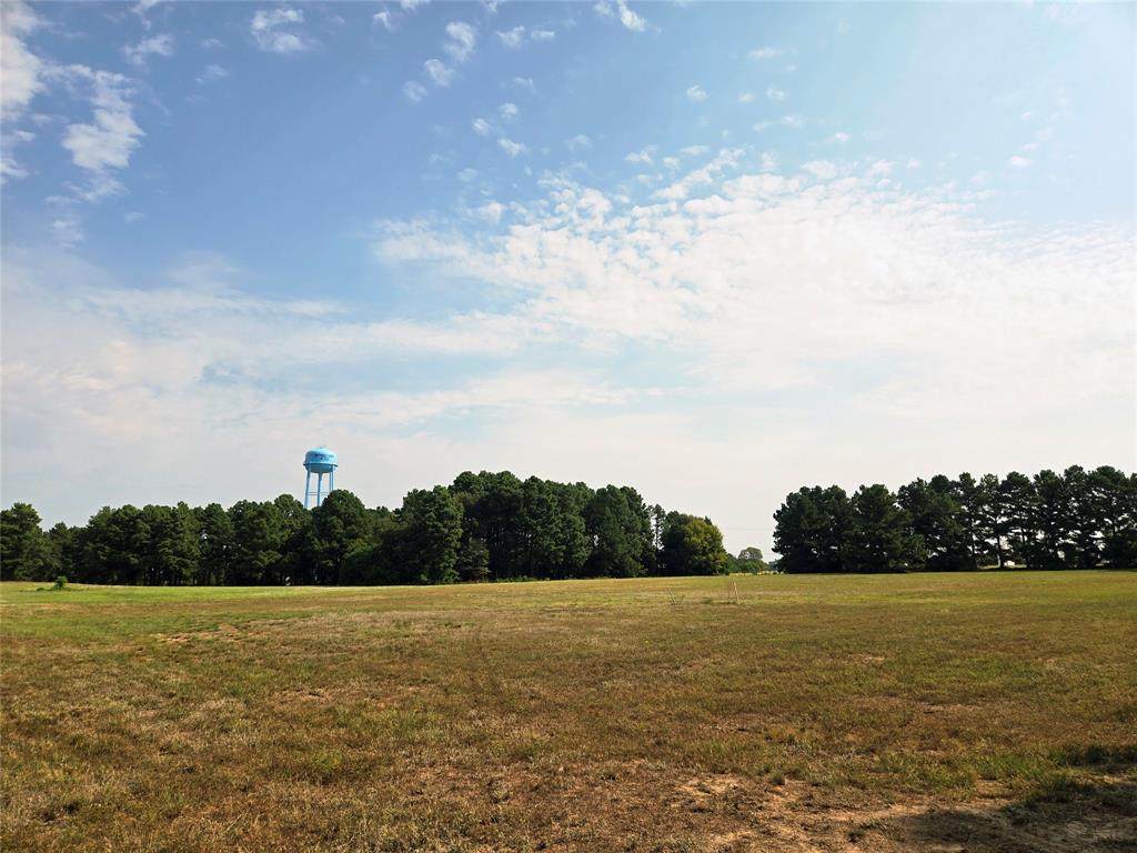 0 Palomino Court - Photo 1