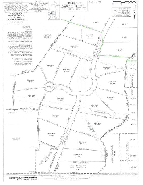 1001 Leo Lane - Photo 1