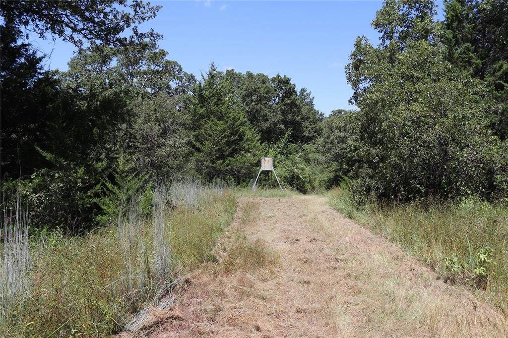 36 ACRES Fm 1749 - Photo 1