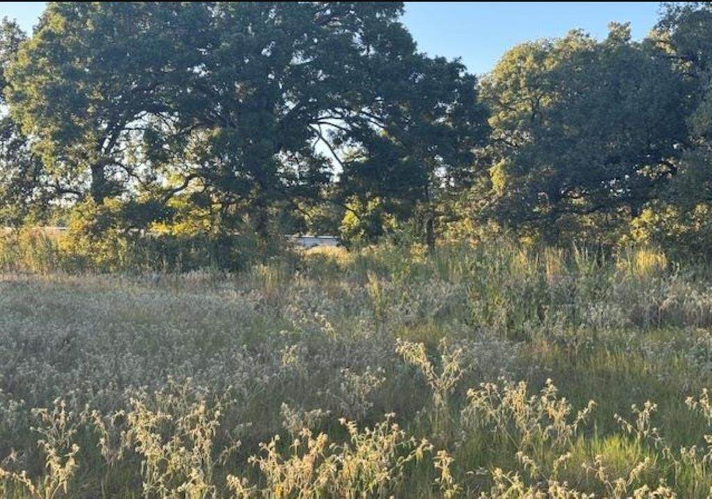 767 Welch Lane - Photo 1