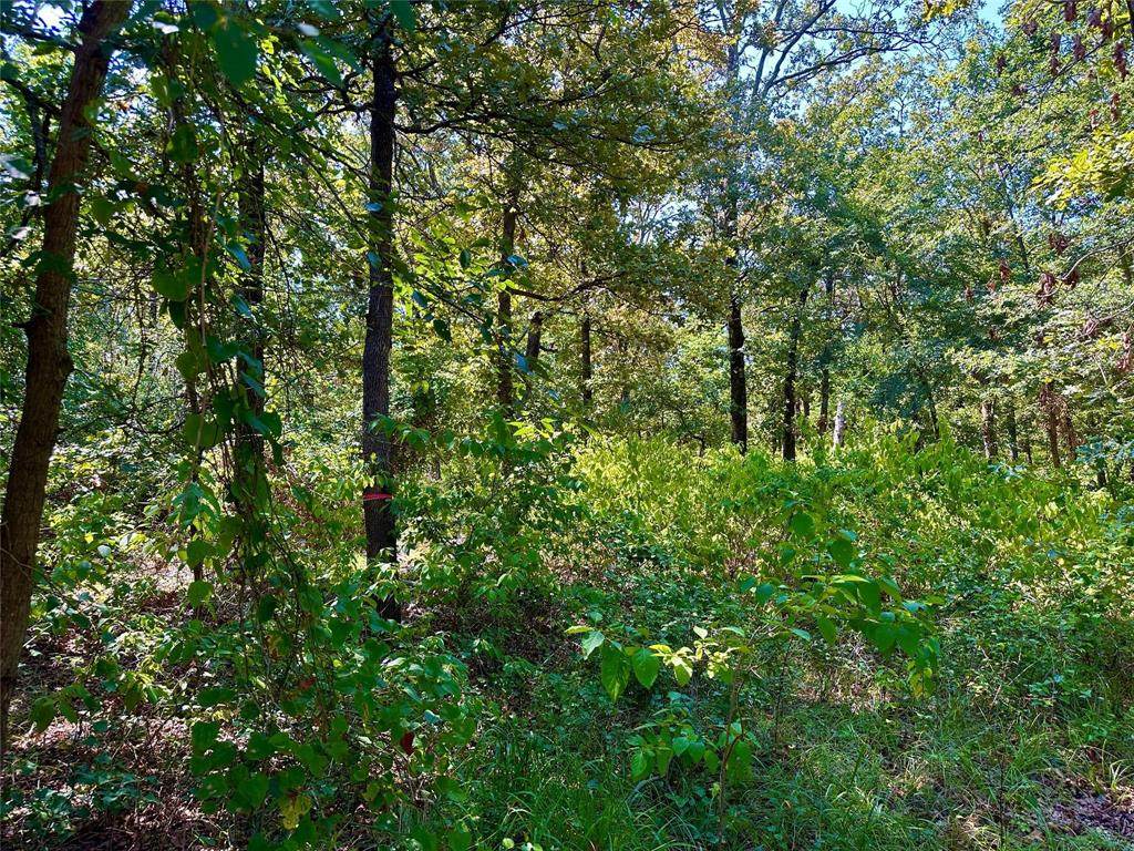 0000 County Road 3641 - Photo 1