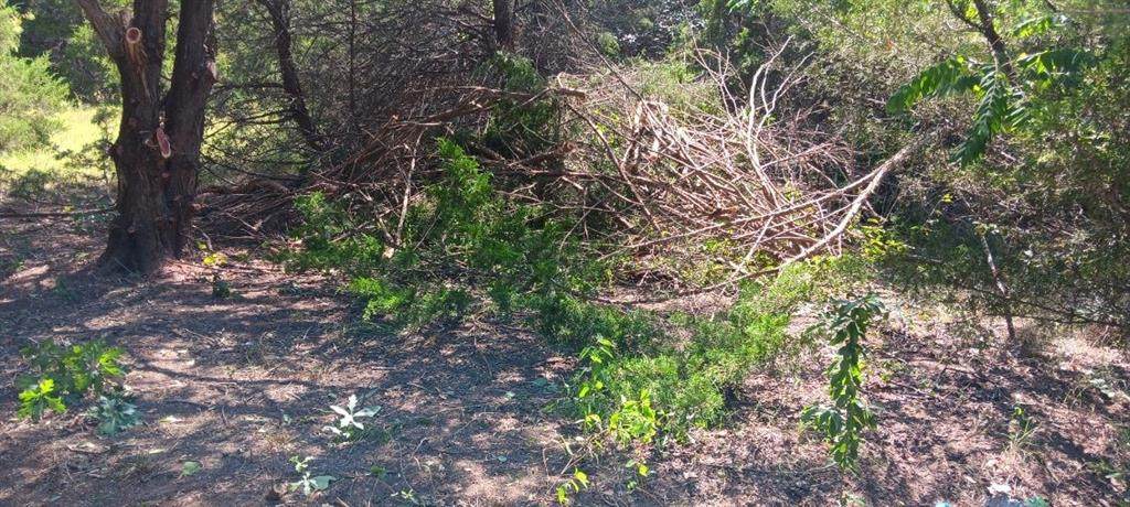 TWB County 3114 Road - Photo 1