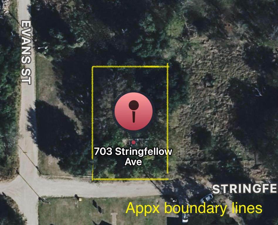 703 Stringfellow Avenue - Photo 1