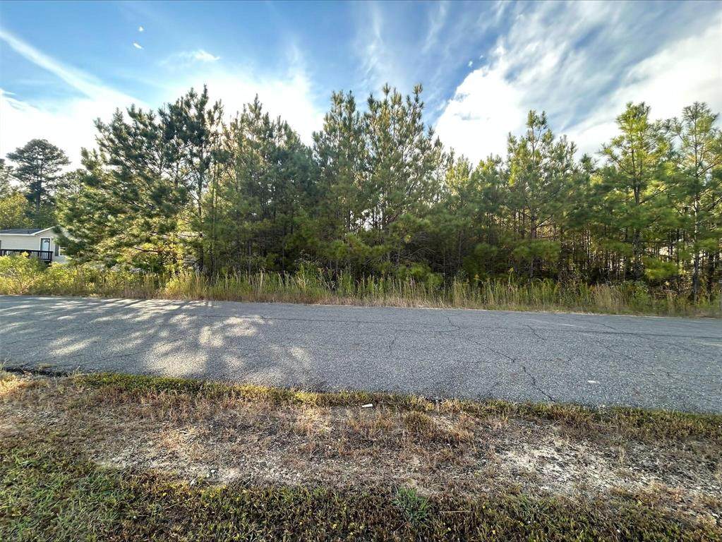 0 Chestnut Bay Oaks Road - Photo 1