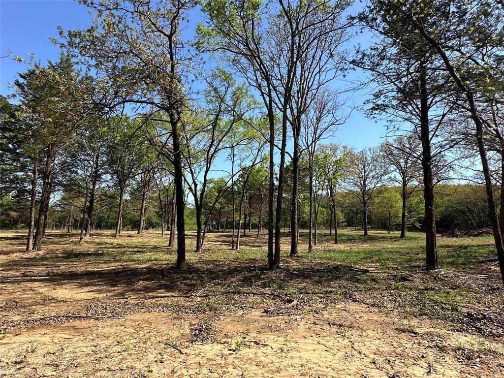 TBD Lot 3 Cr-147 - Photo 1