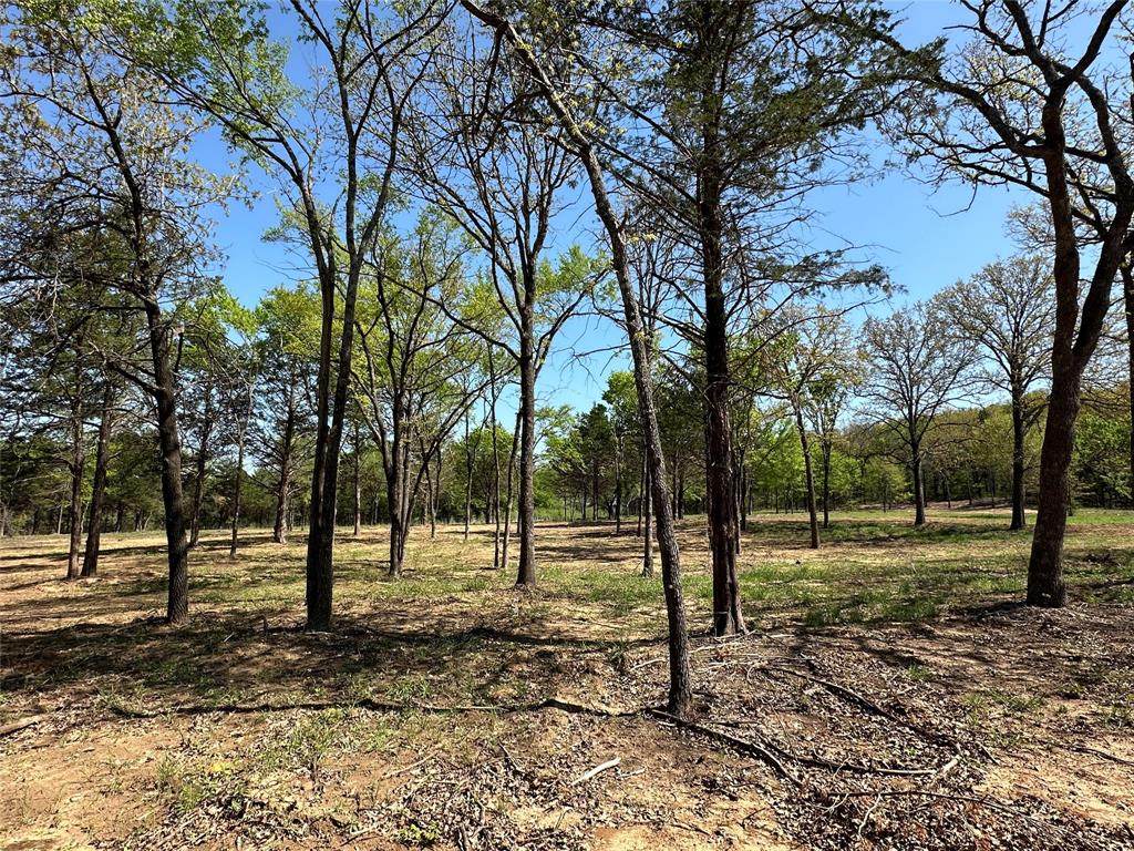 TBD Lot 5 Cr-197 - Photo 1