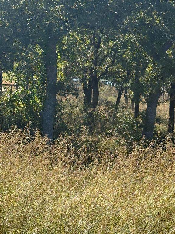 416 Sunset Bay Pointe Court - Photo 1