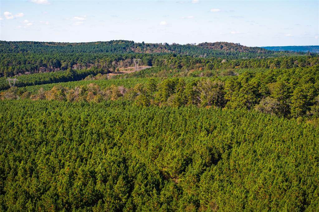 00 County Road 857 - Photo 1