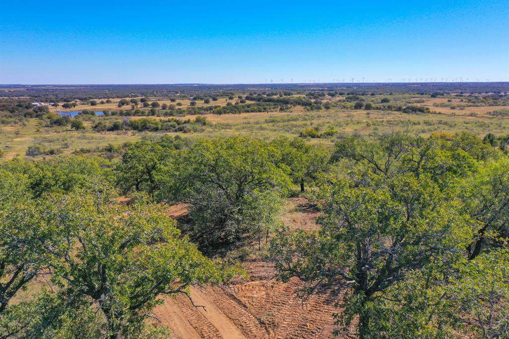 34.38 Acres Lester Road - Photo 1