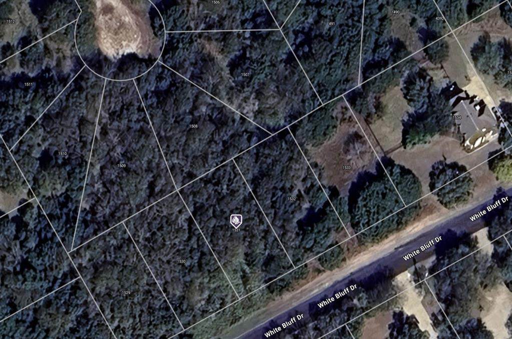 1531 White Bluff Drive - Photo 1