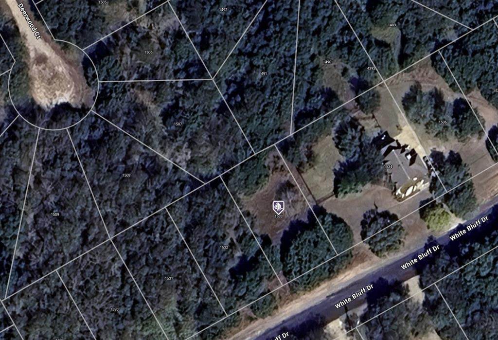 1533 White Bluff Drive - Photo 1