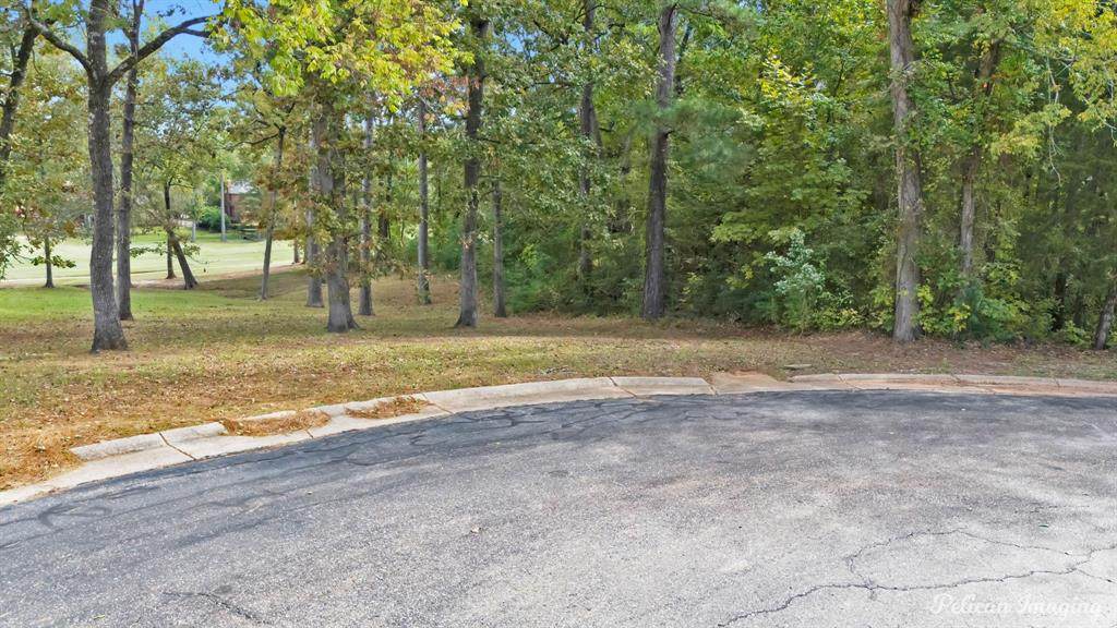0 Seven Oaks Lane - Photo 1