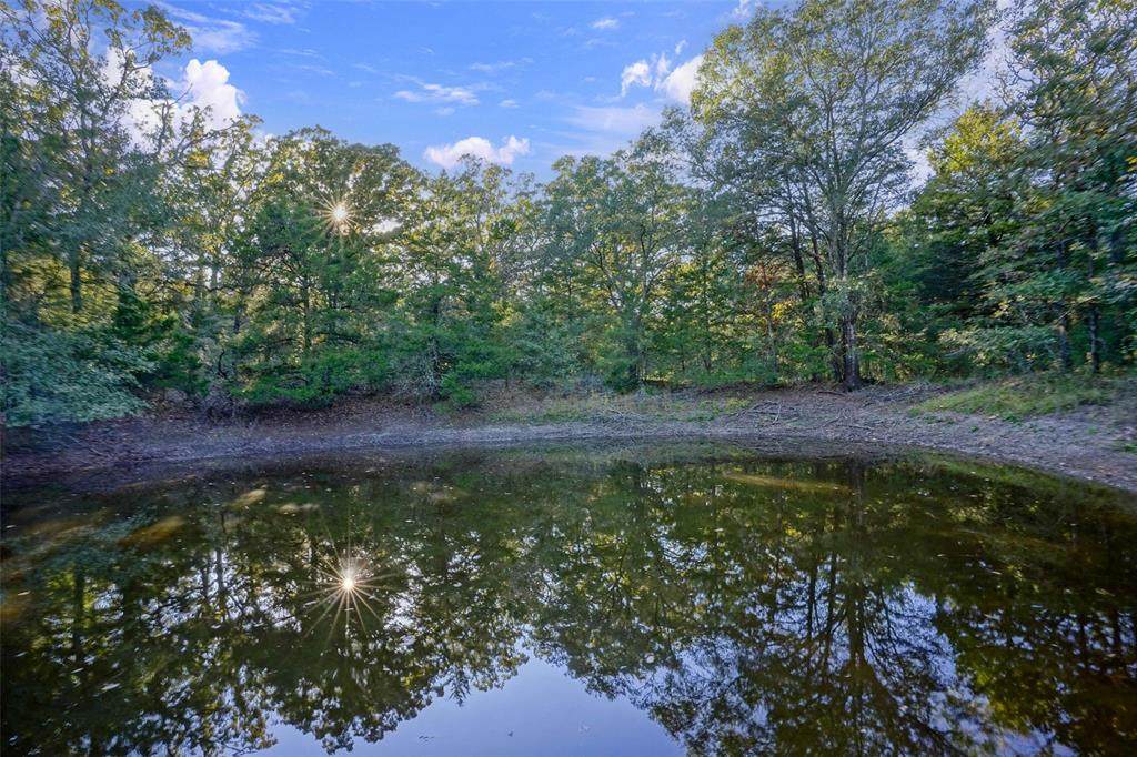 45 Acres County Road 930 - Photo 1