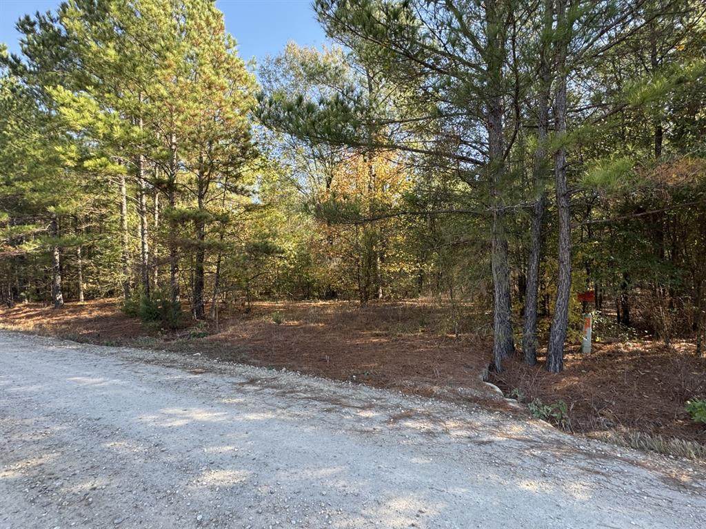 TBD Cr 2451 - Photo 1