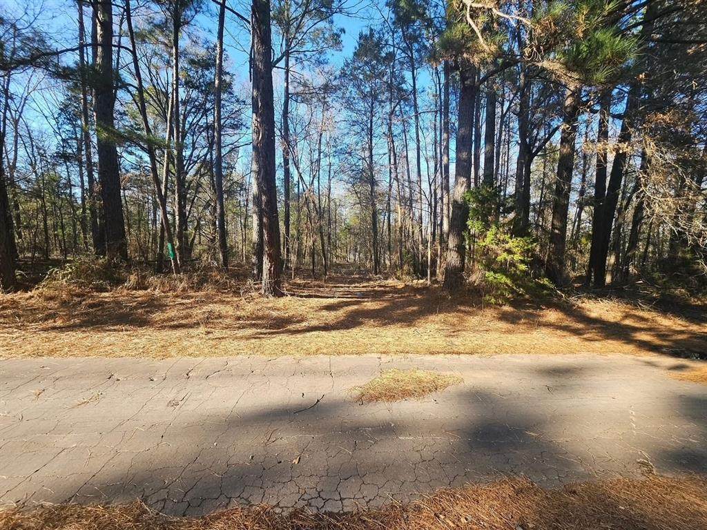 152 County Road 4247 - Photo 1