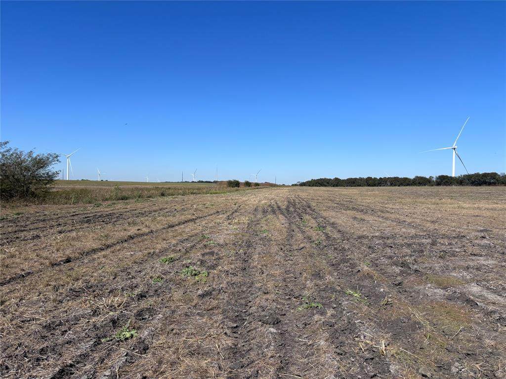TBD Cowan Street - Photo 1