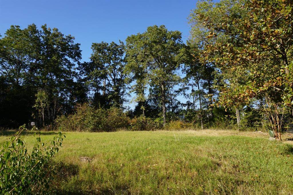 1688 Doc Holiday Dr - Photo 1