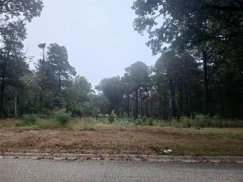 0 Mill Run Road - Photo 1