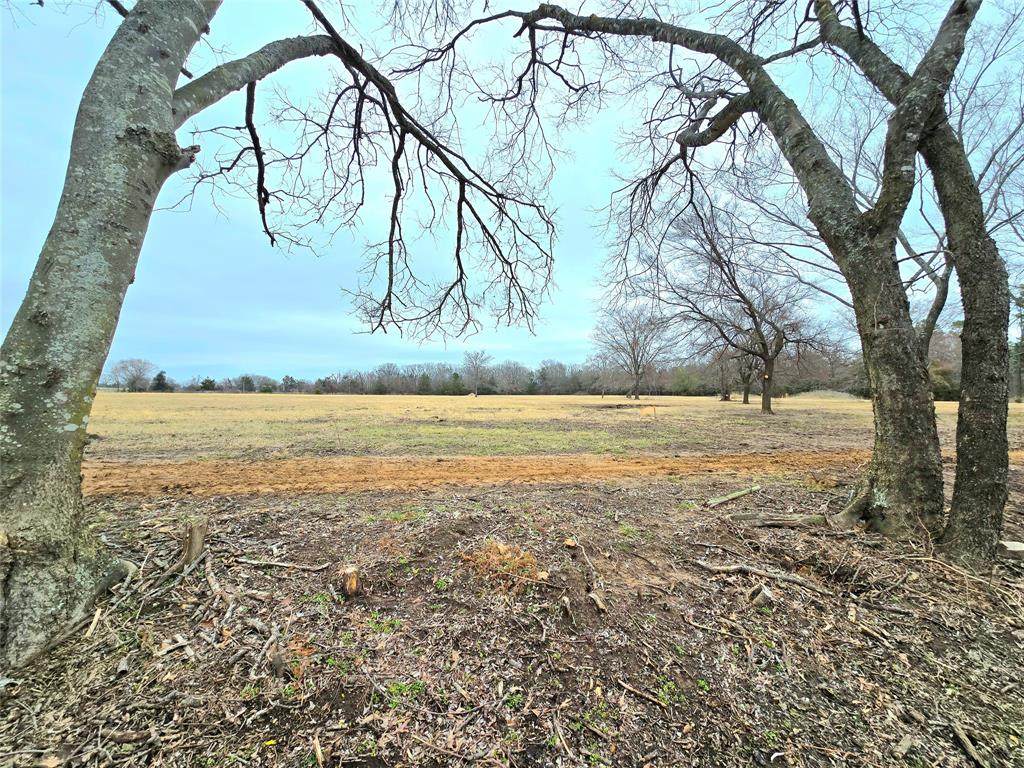 TBD Lot 4 Cr 2245 - Photo 1