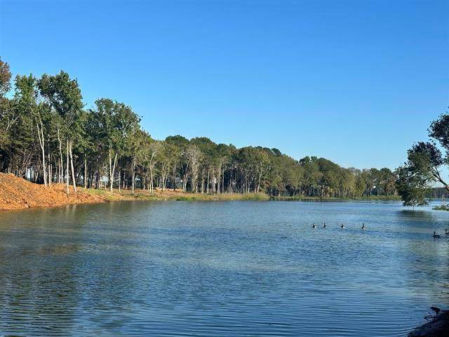 Lot 43 Oak River - Photo 1