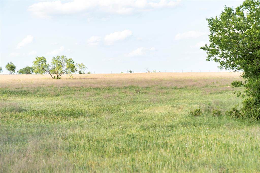TBD Rattler Hill Road - Photo 1