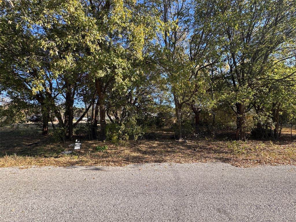 4203 Cree Trail - Photo 1