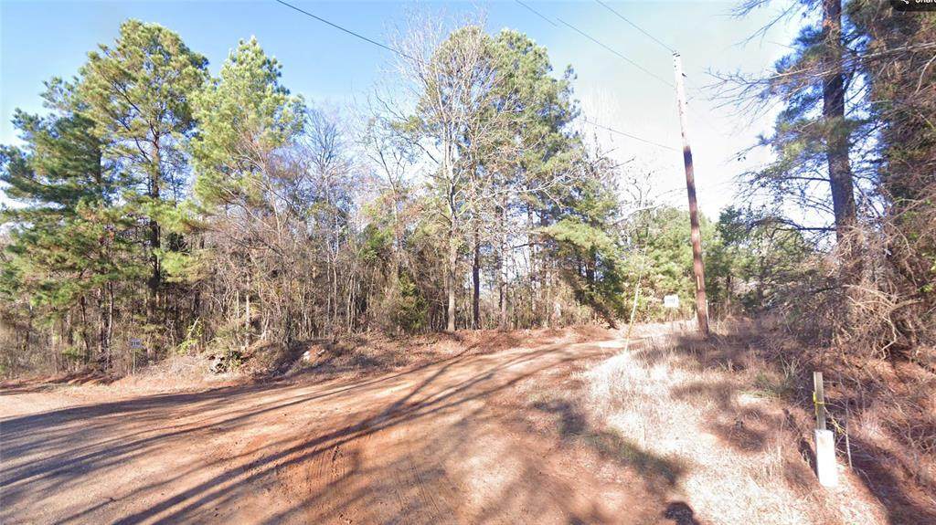 0 Co Rd 2117 - Photo 1