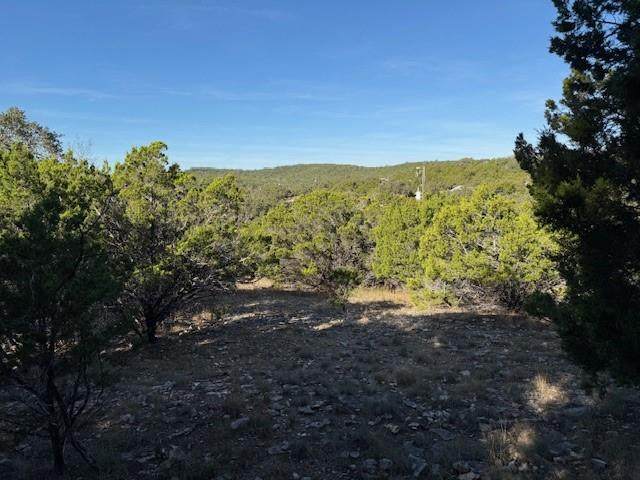 1406 Canyon Trace - Photo 1