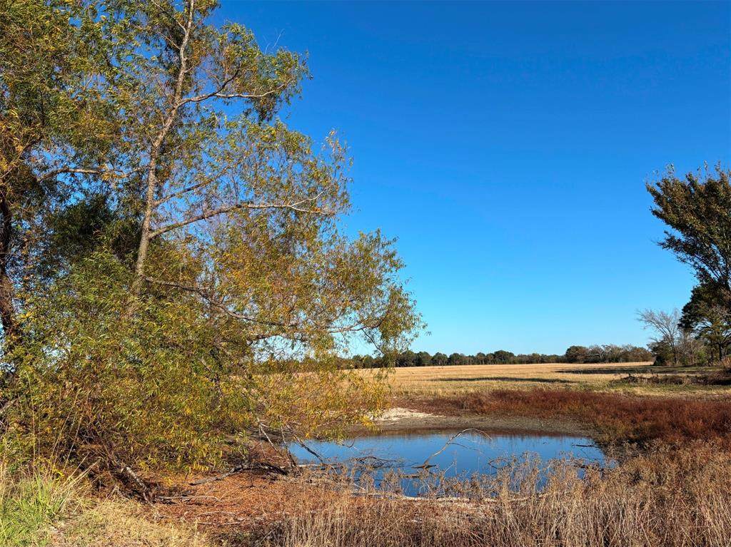 000 Fm 1653 - Photo 1