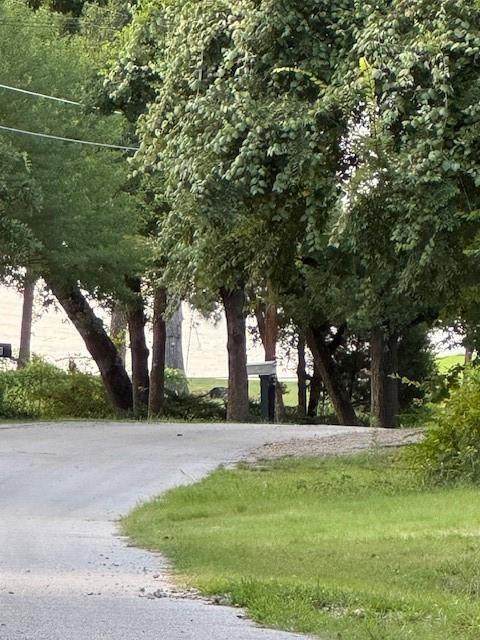 0 Wood Canyon Road - Photo 1