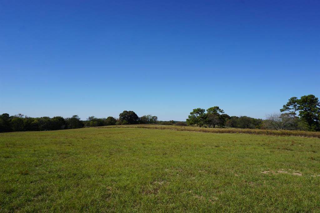 4301 Plainview Road - Photo 1