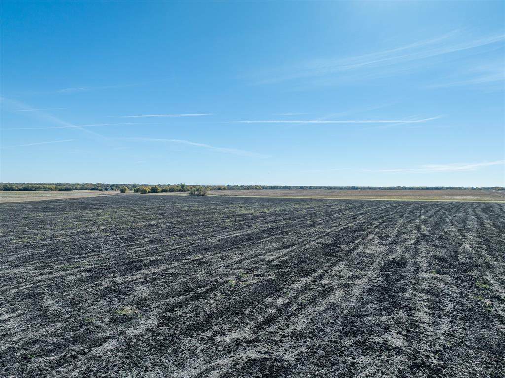 00 Farm - Photo 1