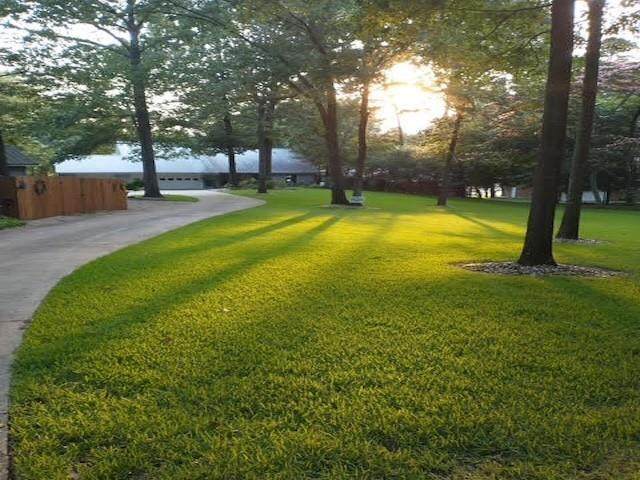 190 County Road 2452 - Photo 1