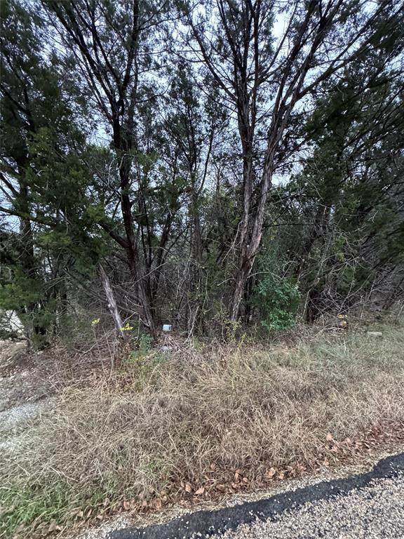 1013 Comanche Cove Drive - Photo 1