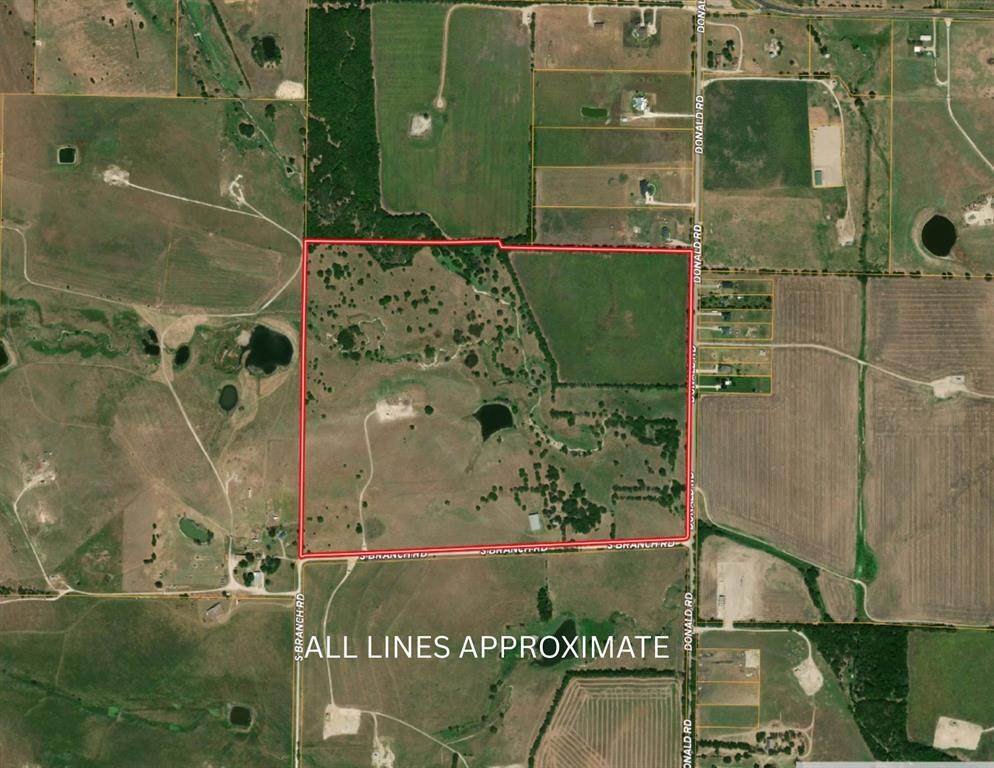 124.75ac Donald Road - Photo 1