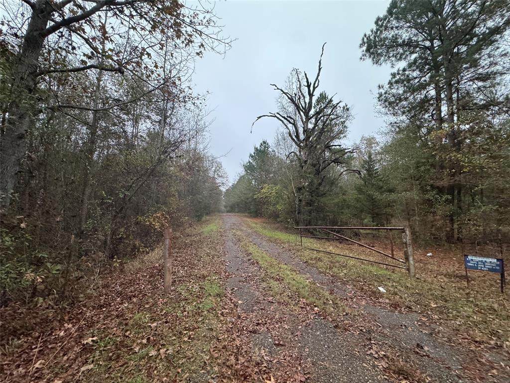 6229 County Rd 21 - Photo 1
