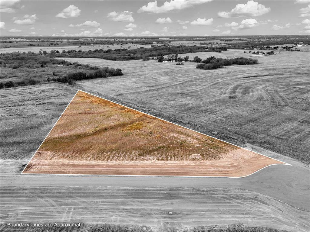 Lot 38 Golden Thistle - Photo 1