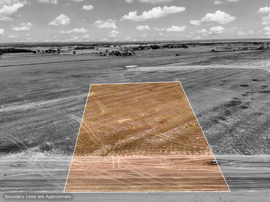 Lot 41 Golden Thistle - Photo 1