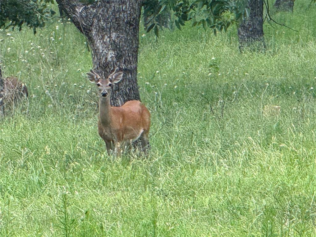 3140 Landings - Photo 1