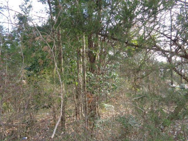 TBD Cr 4870 - Photo 1