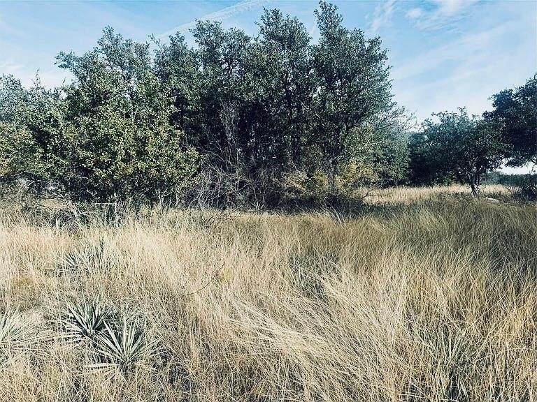 194 Willie B Drive - Photo 1