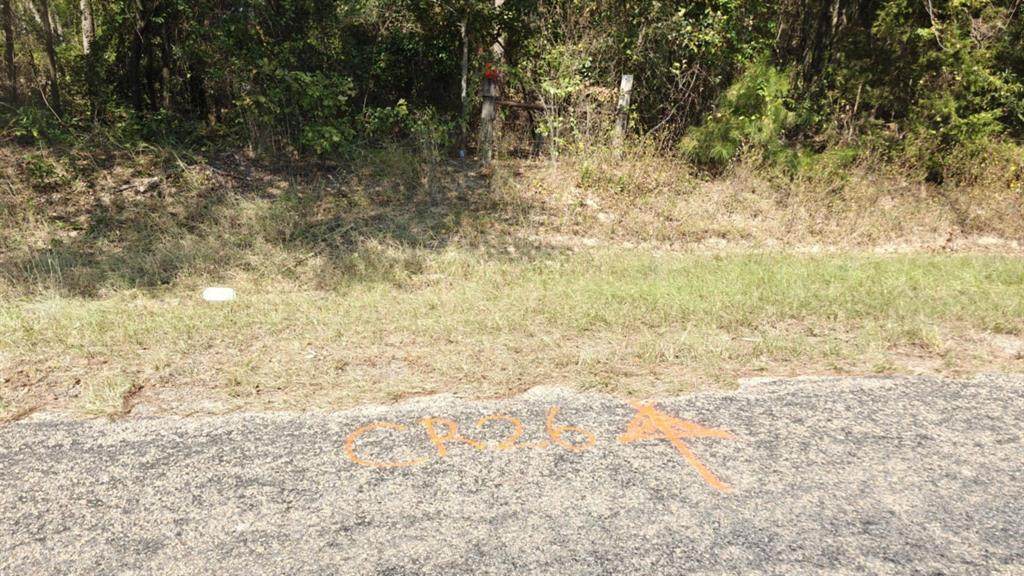 14895 County Road 26 - Photo 1