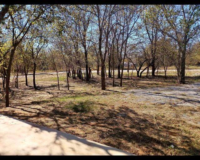137 Buffalo Gap Drive - Photo 1