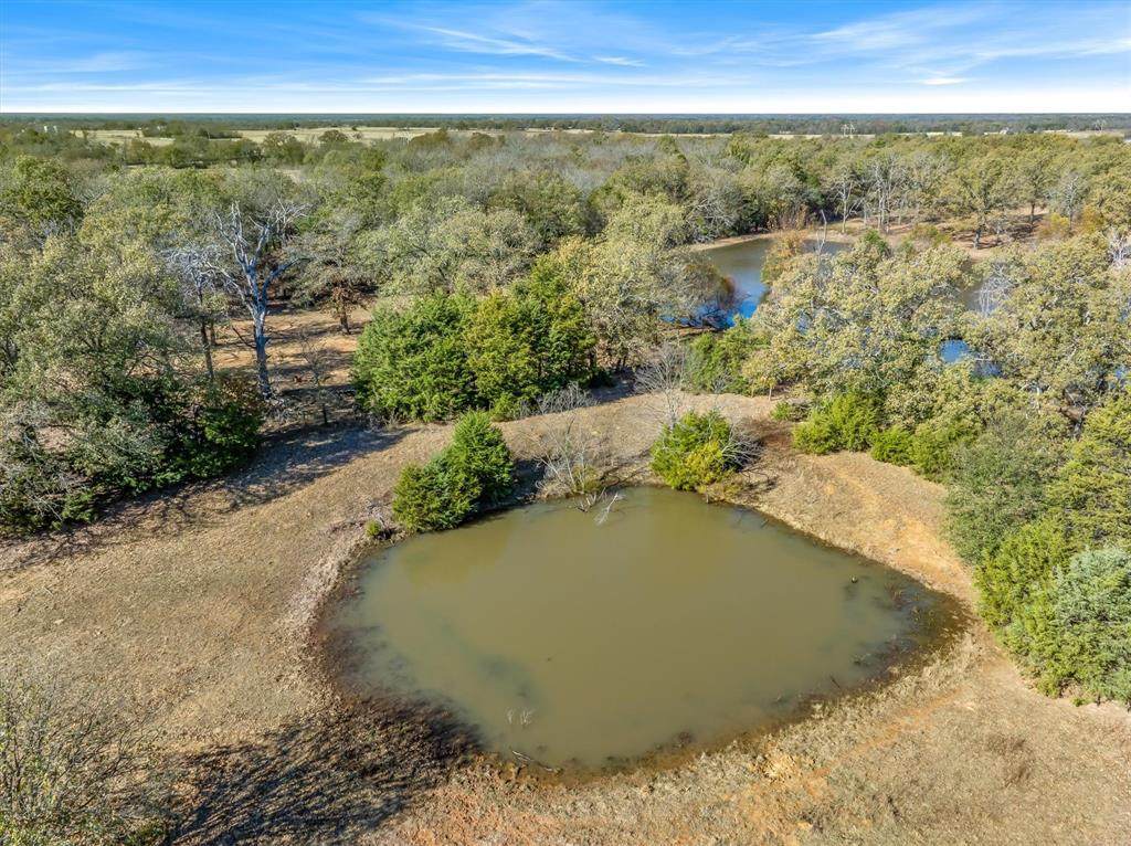 61.40 (+/-) Acres Vz County Road 2145 - Photo 1