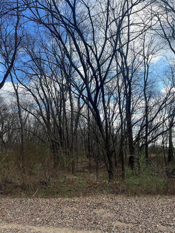 N/A Jackson Avenue - Photo 1